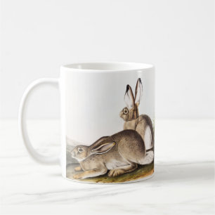 Townsend's Rocky Mountain Hare (Lepus Townsendii) Coffee Mug