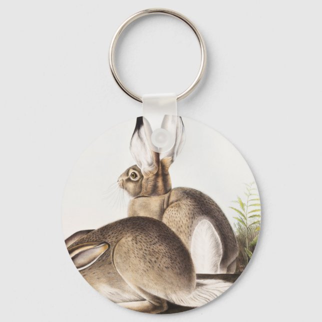 Townsend's Rocky Mountain Hare (Lepus Townsendii) Key Ring (Front)