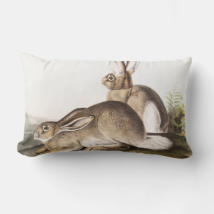 Townsend's Rocky Mountain Hare (Lepus Townsendii) Lumbar Cushion