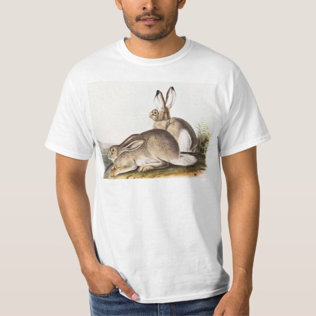 Townsend's Rocky Mountain Hare (Lepus Townsendii) T-Shirt (Front)