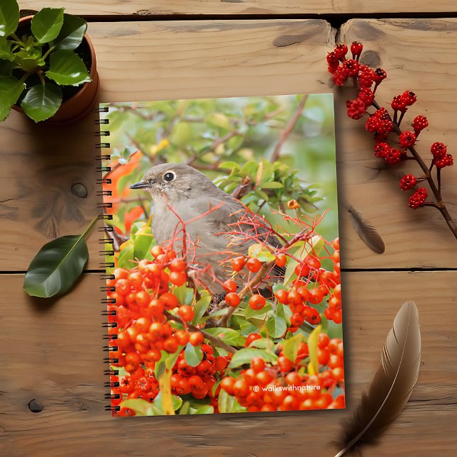 Townsend's Solitaire on the Pyracantha Notebook (Townsend's Solitaire on the Pyracantha Shrub Journal Cover Photo)