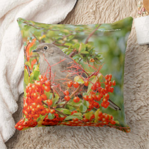 Townsend's Solitaire Songbird on Pyracantha Cushion