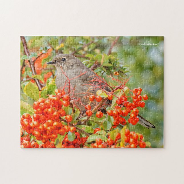 Townsend's Solitaire Songbird on the Pyracantha Jigsaw Puzzle (Horizontal)