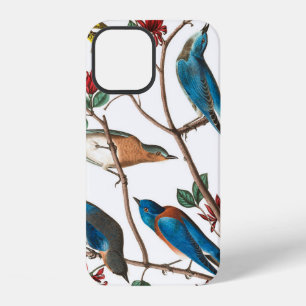 Townsends Warbler by John James Audubon iPhone 12 Case