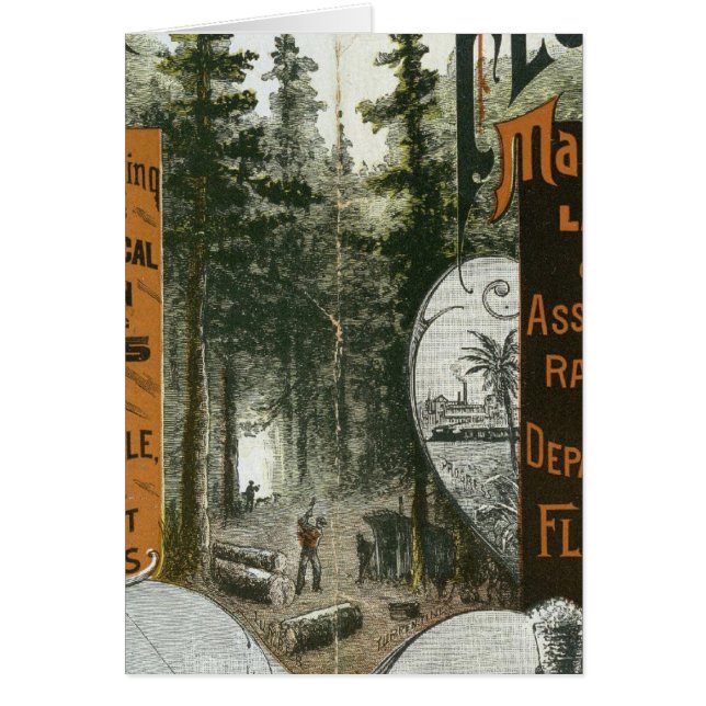 Township Map, Florida (Front)