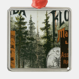 Township Map, Florida Metal Tree Decoration