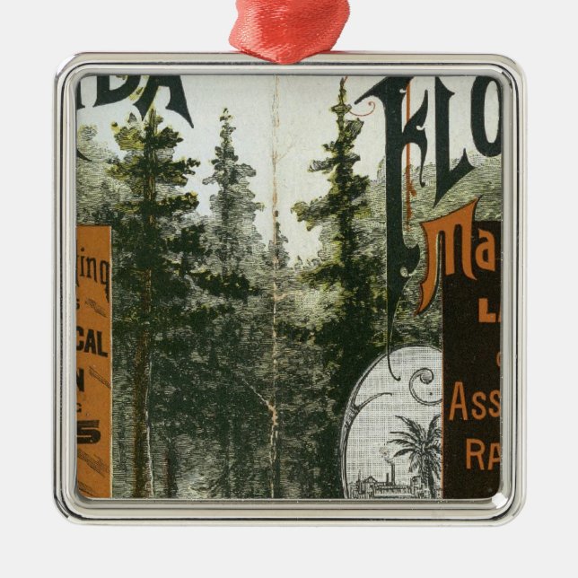 Township Map, Florida Metal Tree Decoration (Front)