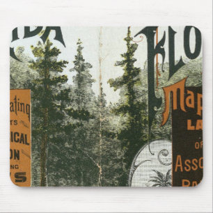 Township Map, Florida Mouse Pad