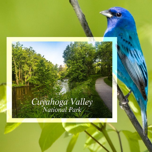 Towpath Trail, Canalway, Cuyahoga Valley, Ohio  Postcard (Creator Uploaded)