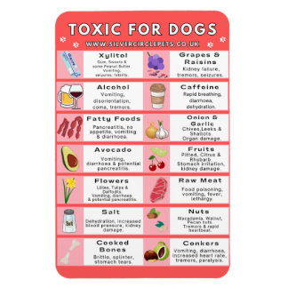 Toxic Foods for Dogs Fridge Magnet