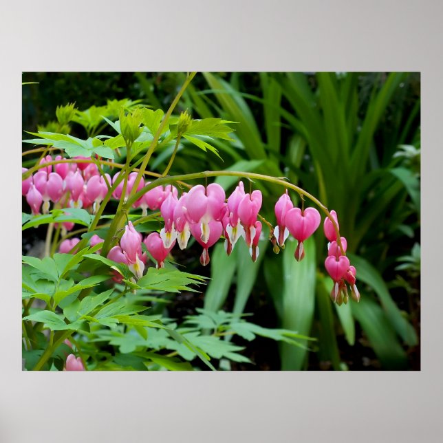 Toxic Hearts Poster (Front)