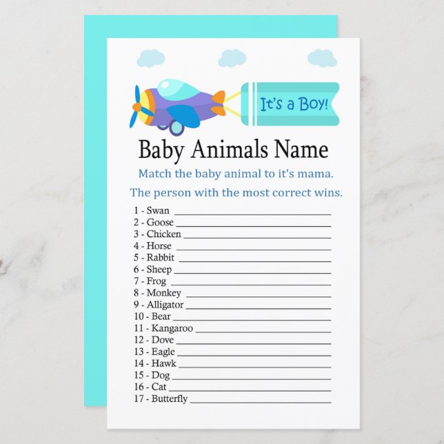 Toy Aircraft Baby Animals Name Game (Front/Back)