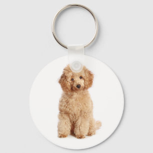 Toy Apricot Poodle Puppy Love Dog Key Chain