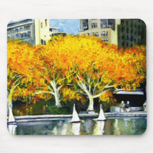 Toy Boats in the Park Mousepad