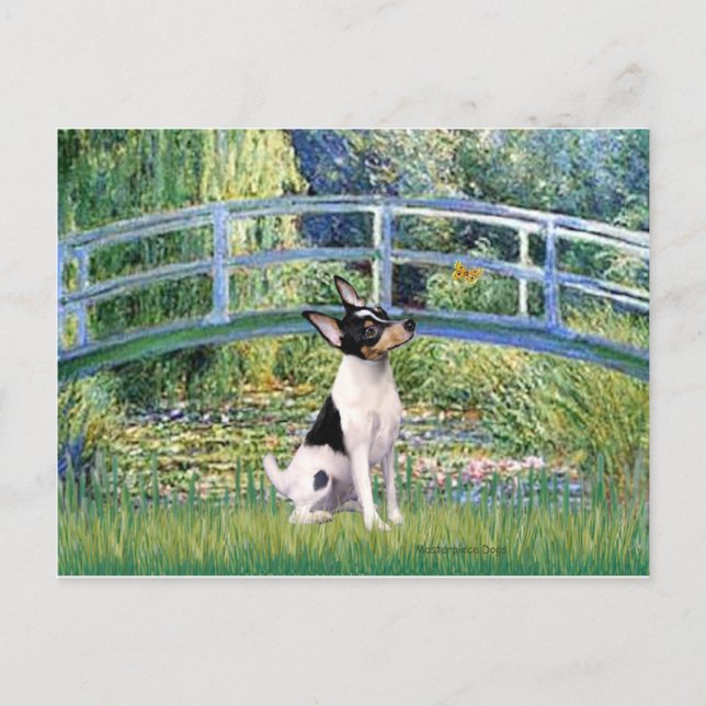 Toy Fox Terrier - Bridge Postcard (Front)