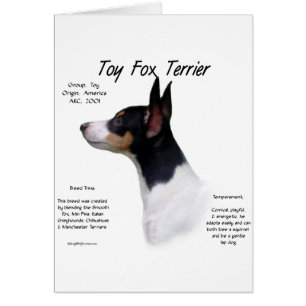 Toy Fox Terrier History Design
