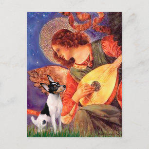 Toy Fox Terrier - Mandolin Angel Postcard