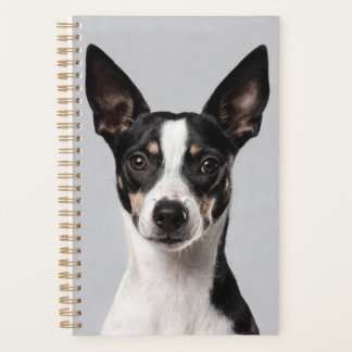 Toy Fox Terrier Planner