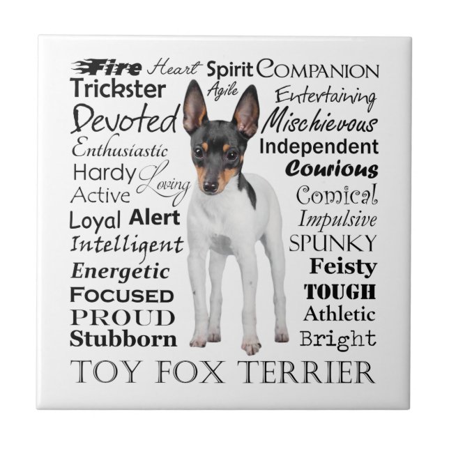 Toy Fox Terrier Traits Tile (Front)