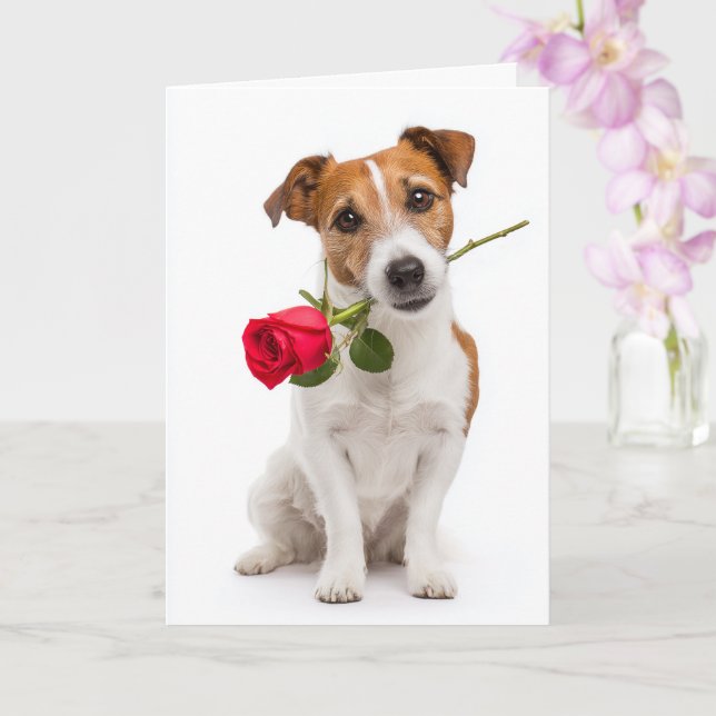 Toy Fox Terrier Valentine Card (Orchid)
