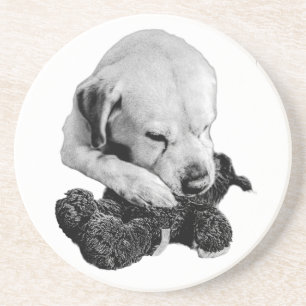 Toy in Paws Coaster