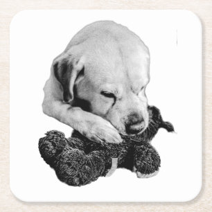 Toy in Paws Square Paper Coaster