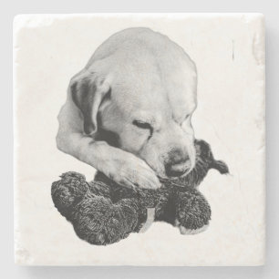 Toy in Paws Stone Coaster