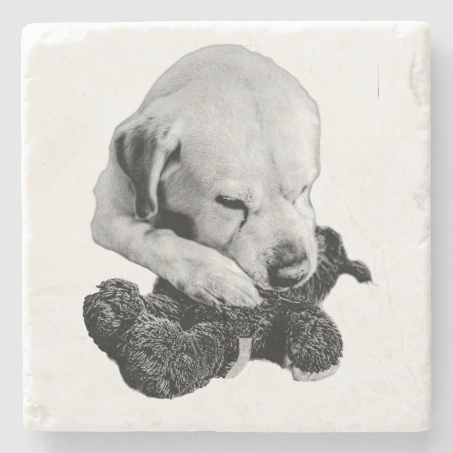 Toy in Paws Stone Coaster (Front)