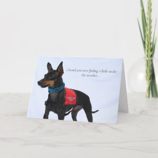 Toy Manchester Terrier Get Well Card