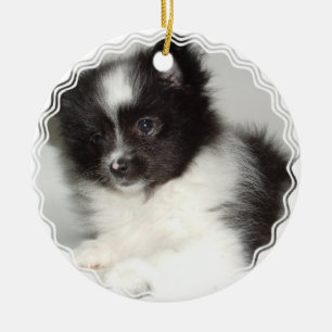 Toy Pomeranian Dog Ornament
