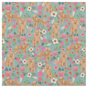 toy poodle apricot vintage florals blue fabric