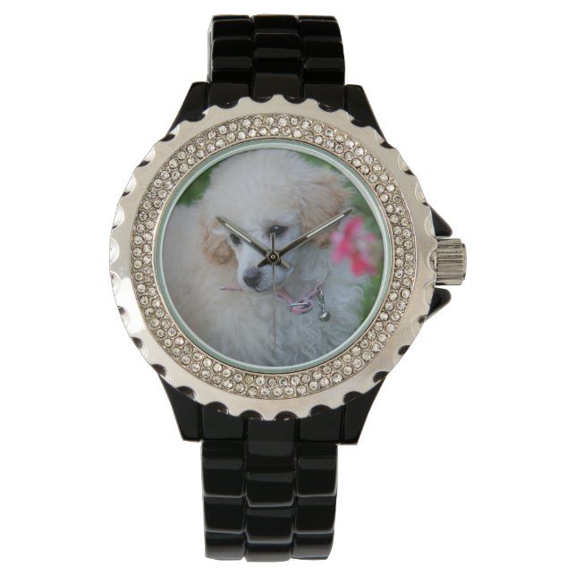 Toy Poodle dog rhinestone wrist watch (Front)