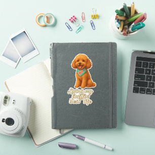 Toy Poodle � Living My Fluffin� Best Life