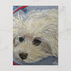 Toy Poodle Painting - Cece Postcard