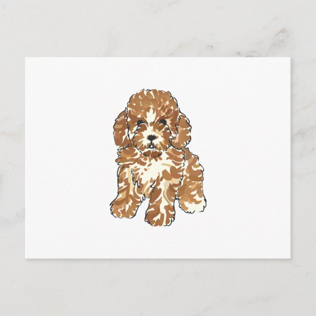 TOY POODLE POSTCARD (Front)