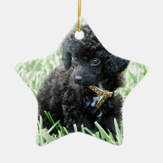 Toy Poodle Puppy Ceramic Tree Decoration