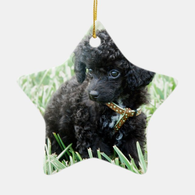 Toy Poodle Puppy Ceramic Tree Decoration (Front)