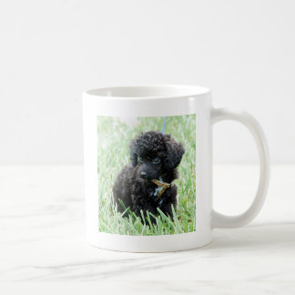 Toy Poodle Puppy Coffee Mug