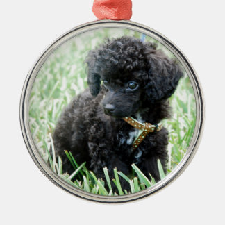 Toy Poodle Puppy Metal Ornament