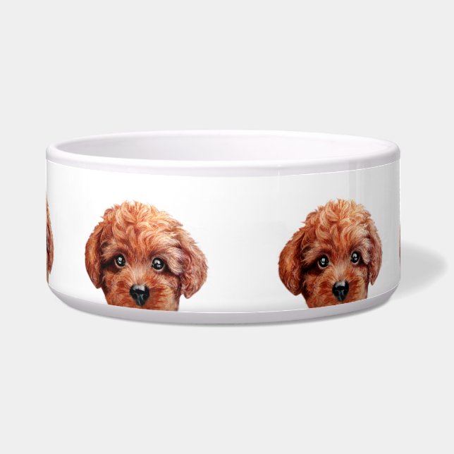 Toy Poodle Reddish Brown, Design by miart (Front)