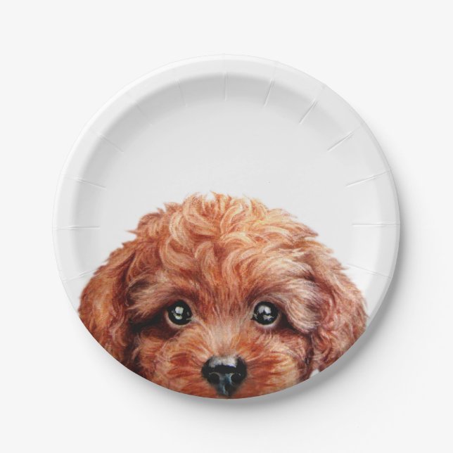 Toy poodle reddish brown original by miart paper plate (Front)