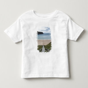 Trabane Or Silver Strand Near Malin Beg Toddler T-Shirt