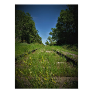 “Track and Field” Photo Print