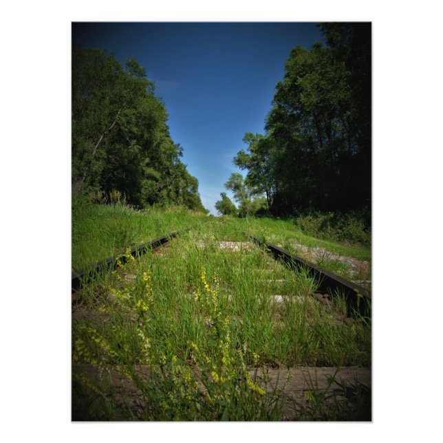 “Track and Field” Photo Print (Front)