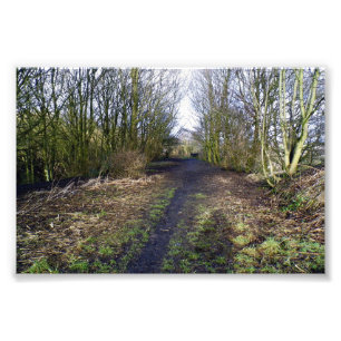 Trackbed on the Abandoned Halifax High Level Line Photo Print