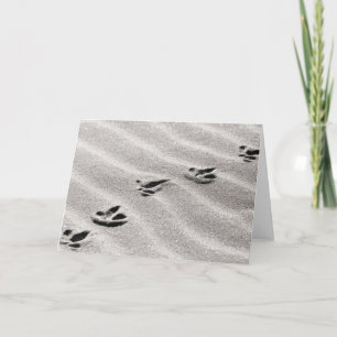 Tracks in the Sand Nature Photo Card