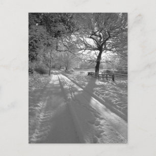 Tracks in the Snow: Cheshire Postcard