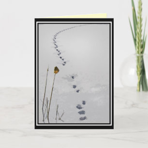 Tracks in the Snow Seasons Greetings Holiday Card