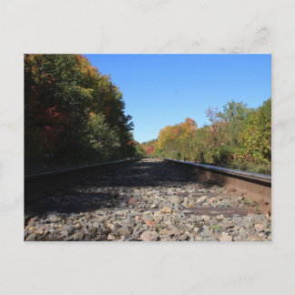 Tracks into Autumn Postcard