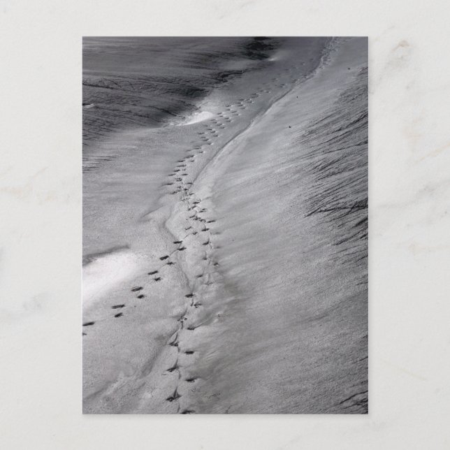 tracks postcard (Front)